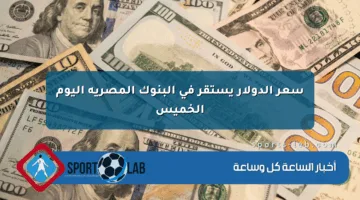 سعر الدولار يستقر في البنوك المصرية اليوم الخميس